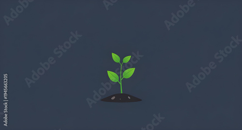 plant, seedling, sprout, young, growth, soil, dirt, earth, ground, root, leaf, leaves, stem, green, nature, garden, gardening, agriculture, farming, ecology, eco, environment, natural, organic, fresh,