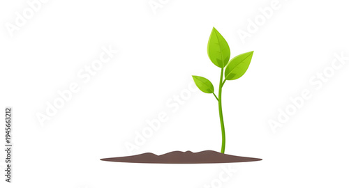 plant, seedling, sprout, young, growth, soil, dirt, earth, ground, root, leaf, leaves, stem, green, nature, garden, gardening, agriculture, farming, ecology, eco, environment, natural, organic, fresh,