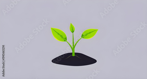 plant, seedling, sprout, young, growth, soil, dirt, earth, ground, root, leaf, leaves, stem, green, nature, garden, gardening, agriculture, farming, ecology, eco, environment, natural, organic, fresh,
