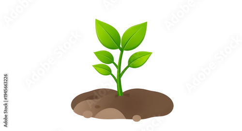 plant, seedling, sprout, young, growth, soil, dirt, earth, ground, root, leaf, leaves, stem, green, nature, garden, gardening, agriculture, farming, ecology, eco, environment, natural, organic, fresh,