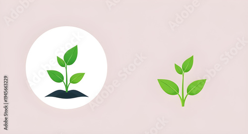 plant, seedling, sprout, young, growth, soil, dirt, earth, ground, root, leaf, leaves, stem, green, nature, garden, gardening, agriculture, farming, ecology, eco, environment, natural, organic, fresh,
