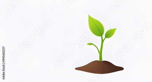 plant, seedling, sprout, young, growth, soil, dirt, earth, ground, root, leaf, leaves, stem, green, nature, garden, gardening, agriculture, farming, ecology, eco, environment, natural, organic, fresh,