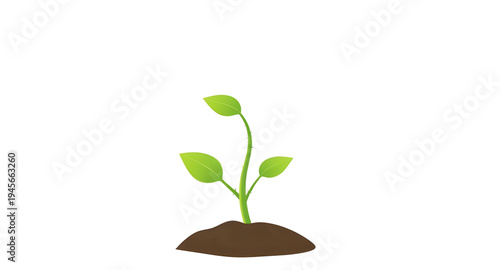 plant, seedling, sprout, young, growth, soil, dirt, earth, ground, root, leaf, leaves, stem, green, nature, garden, gardening, agriculture, farming, ecology, eco, environment, natural, organic, fresh,