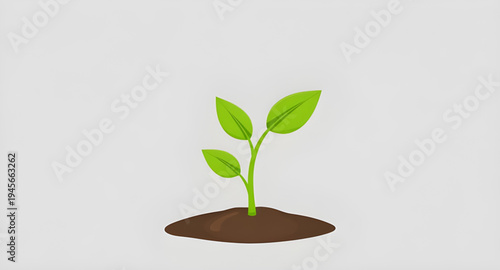 plant, seedling, sprout, young, growth, soil, dirt, earth, ground, root, leaf, leaves, stem, green, nature, garden, gardening, agriculture, farming, ecology, eco, environment, natural, organic, fresh,