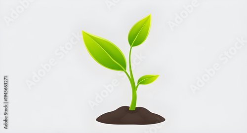 plant, seedling, sprout, young, growth, soil, dirt, earth, ground, root, leaf, leaves, stem, green, nature, garden, gardening, agriculture, farming, ecology, eco, environment, natural, organic, fresh,
