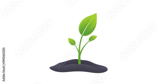 plant, seedling, sprout, young, growth, soil, dirt, earth, ground, root, leaf, leaves, stem, green, nature, garden, gardening, agriculture, farming, ecology, eco, environment, natural, organic, fresh,