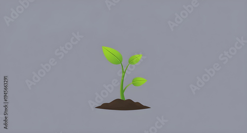 plant, seedling, sprout, young, growth, soil, dirt, earth, ground, root, leaf, leaves, stem, green, nature, garden, gardening, agriculture, farming, ecology, eco, environment, natural, organic, fresh,