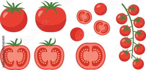 Fresh Tomato Collection with Whole Tomatoes Cherry Tomatoes and Sliced Tomato Pieces Isolated Food Vector Illustration Set