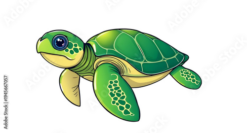 turtle, tortoise, reptile, animal, cartoon, cute, character, mascot, wildlife, nature, shell, carapace, flipper, swim, ocean, sea, marine, aquatic, pond, lake, slow, crawl, green, baby, kid, friendly,