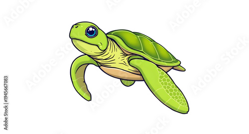turtle, tortoise, reptile, animal, cartoon, cute, character, mascot, wildlife, nature, shell, carapace, flipper, swim, ocean, sea, marine, aquatic, pond, lake, slow, crawl, green, baby, kid, friendly,