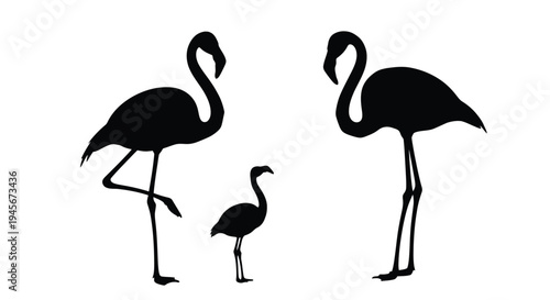 Two adult and one baby flamingo presented in black silhouette