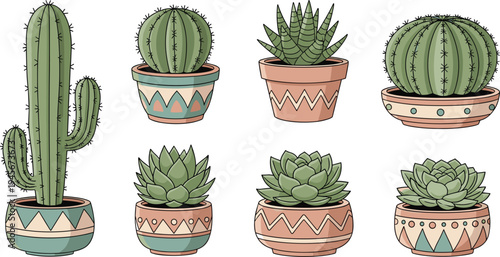 Cactus and succulent plants in decorative pots collection indoor houseplants desert botanical set vector illustration