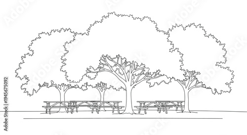 Park scene with picnic tables and trees a delicate silhouette