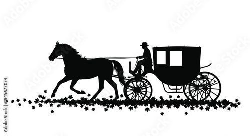 Elegant horse drawn carriage with driver a striking black silhouette