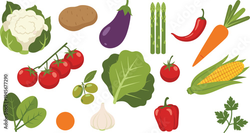 Fresh Vegetable Collection with Tomato Eggplant Carrot Corn Garlic Cauliflower and Green Leafy Vegetables Vector Illustration
