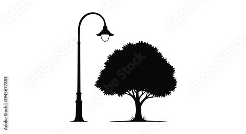 A stark lamppost and tree create a dramatic nighttime silhouette