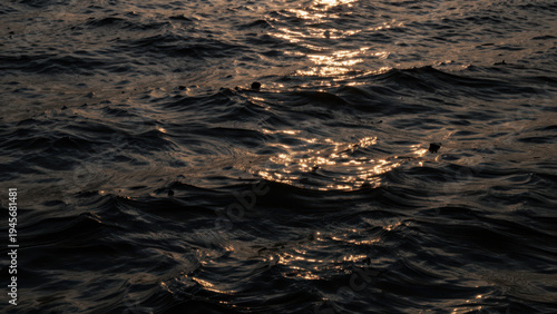 Serene Ocean Waves at Sunset with Golden Sunlight Reflecting on Dark Water Surface Creating Tranquil Natural Background Texture for Travel or Nature Themed Designs