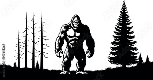 Black, vector, silhouette, of, Bigfoot, sasquatch, standing, in, a, pine, forest, with, trees, for, mystery, folklore, and, outdoor, adventure, concept.