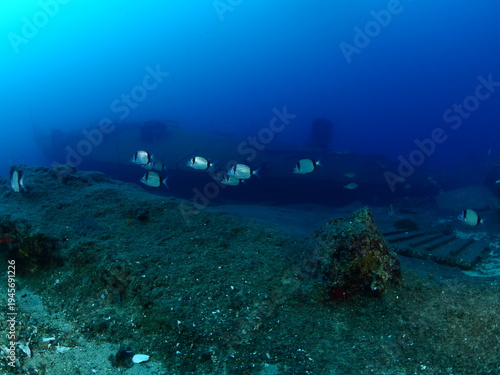  shipwreck scenery underwater ship wreck deep blue water ocean scenery of metal underwater scuba divers to explore