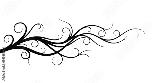 Swirling vine ornament, an elegant black and white vector illustration featuring intricate curves and organic shapes, perfect for sophisticated design embellishments and borders.