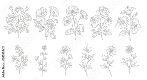 Collection of delicate botanical line drawings depict various blooming flowers and detailed.