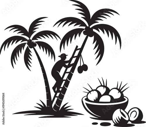 Man climbing coconut palm tree, basket of coconuts, tropical harvest illustration, black and white