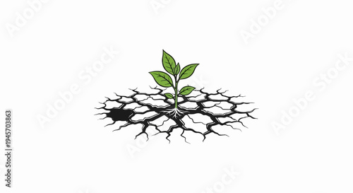 A small green plant with roots emerges from cracked dry ground