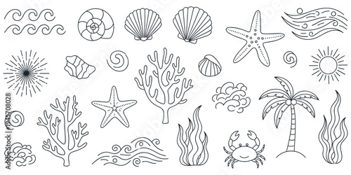 Beach ocean line drawing illustration, marine artwork with waves seashells starfish coral palm tree crab summer vacation design vector