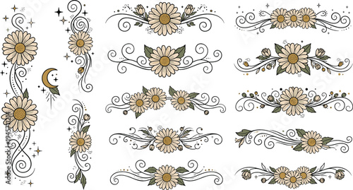 Elegant Daisy Floral Divider and Border Collection with Vintage Botanical Flourishes, Decorative Swirls, and Romantic Flower Ornaments for Invitation and Decorative Design