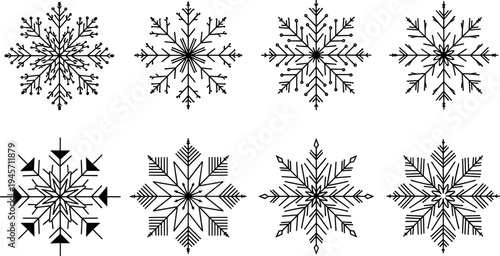 Set of decorative snowflake illustrations in geometric winter style, detailed frost crystal pattern collection for seasonal design, holiday decoration and festive background concept isolated.