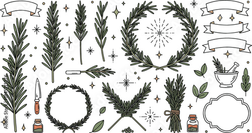 Hand Drawn Rosemary Botanical Elements Set with Herbal Wreaths, Branches, Apothecary Bottles, Mortar and Pestle, Ribbons, and Natural Vintage Herb Illustration