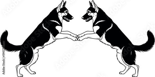Symmetrical illustration of two German shepherd dogs standing on hind legs facing each other, detailed canine artwork showing playful interaction, pet behavior concept isolated on background.