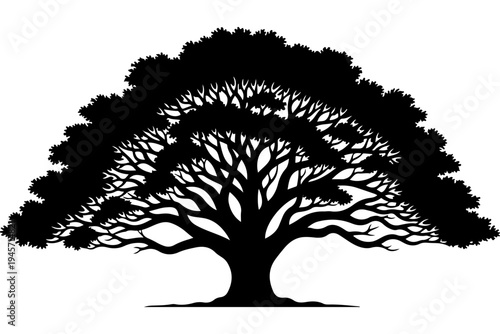 Elegant Black and White Tree Silhouette Vector Art