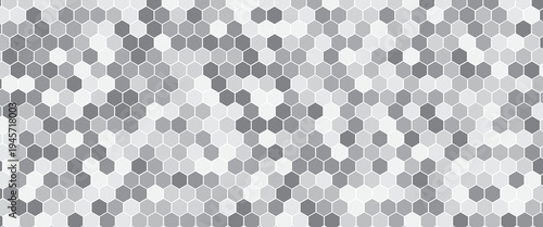 Gray, black, white beehive background. Honeycomb, bees hive cells pattern. Bee honey shapes. Vector geometric seamless texture symbol. Hexagon, hexagonal raster, mosaic cell sign or icon.