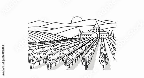 Vineyard with a building and rolling hills under a setting sun