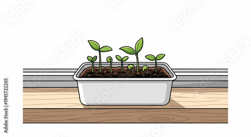 Tiny green seedlings emerge from rich soil in a white planter on a wooden surface