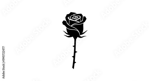 Black Silhouette of Rose Flower.