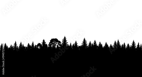 Silhouette of Pine Tree Forest.