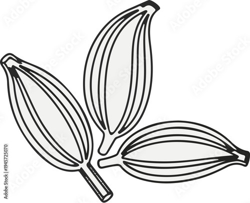Three stylized pods with internal seed lines, black outline on white