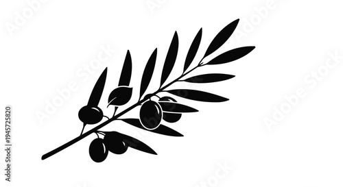 Monochrome silhouette of a small olive branch features ripe dark fruit clustered among narrow, pointed leaves against a stark white background.
