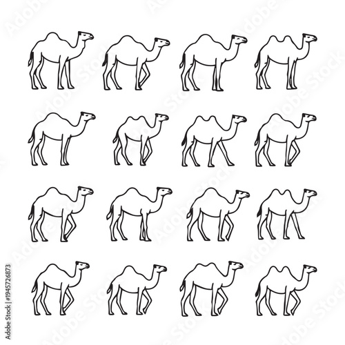 Dromedary Camels Line Art Pattern Various Poses