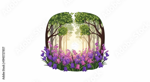 Sunrise through trees illuminates a carpet of blooming bluebells