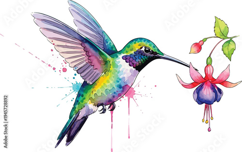 A colorful hummingbird sips nectar from a vibrant flower with watercolor splashes