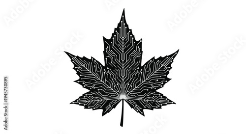 Canadian Technology Maple Leaf Circuit Board Digital Innovation Concept