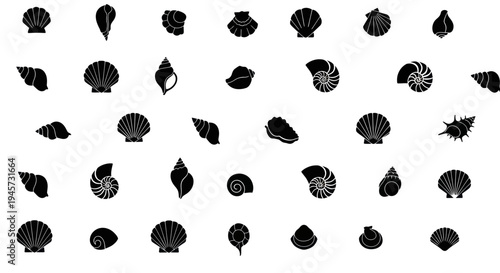 Various Types of Sea Shells and Snail Silhouette Vector Icons