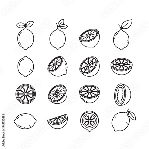 Hand Drawn Lemon Collection: Whole Sliced Halved and Cross-SectionsOutline Graphics