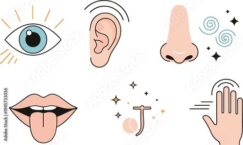 Five human senses icons collection with eye, ear, nose, tongue and touch hand symbols for sensory perception education vector illustration