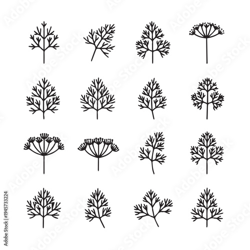 Herbal Leaf Sprigs and Umbel Flowers Vector Icons Collection