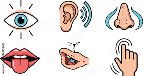 Five human senses icons set with eye, ear, nose, tongue and touch hand symbols for sensory perception education vector illustration
