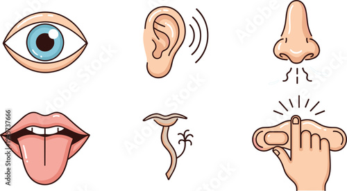Human senses icons collection with eye, ear, nose, tongue and touch hand symbols representing five senses perception vector illustration set